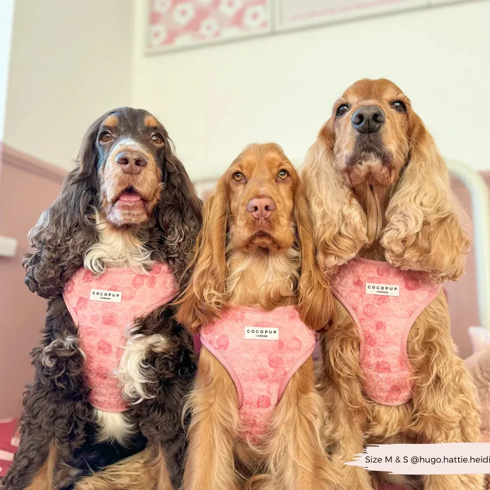 Peony pup adjustable neck harness