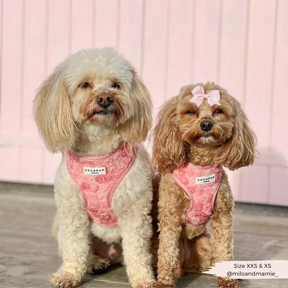 Peony pup adjustable neck harness