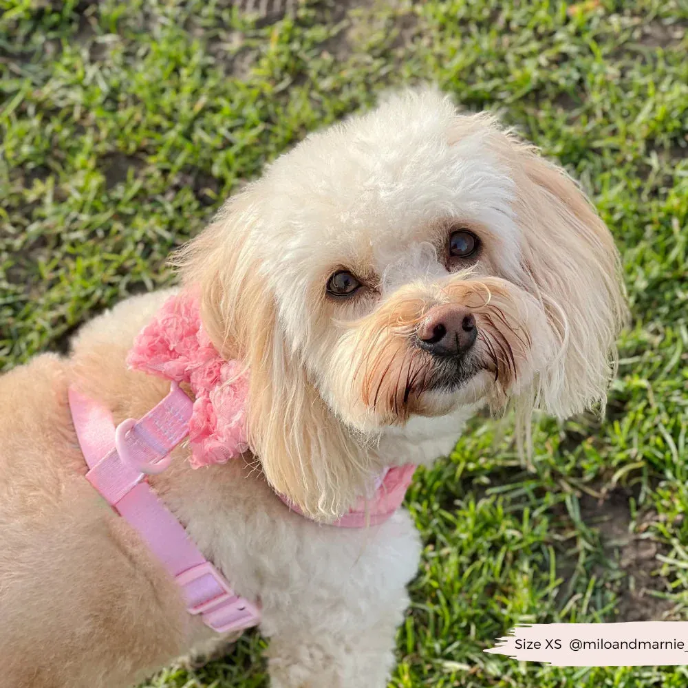 Peony pup adjustable neck harness