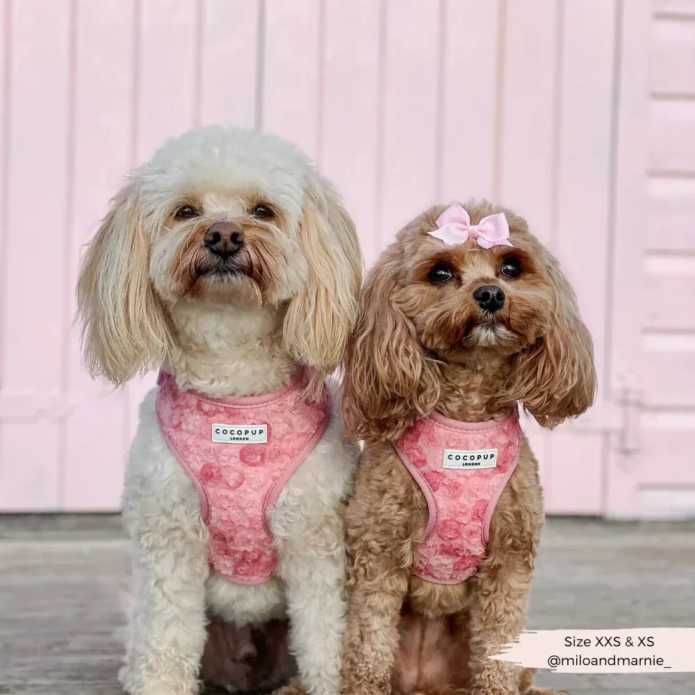 Peony pup adjustable neck harness