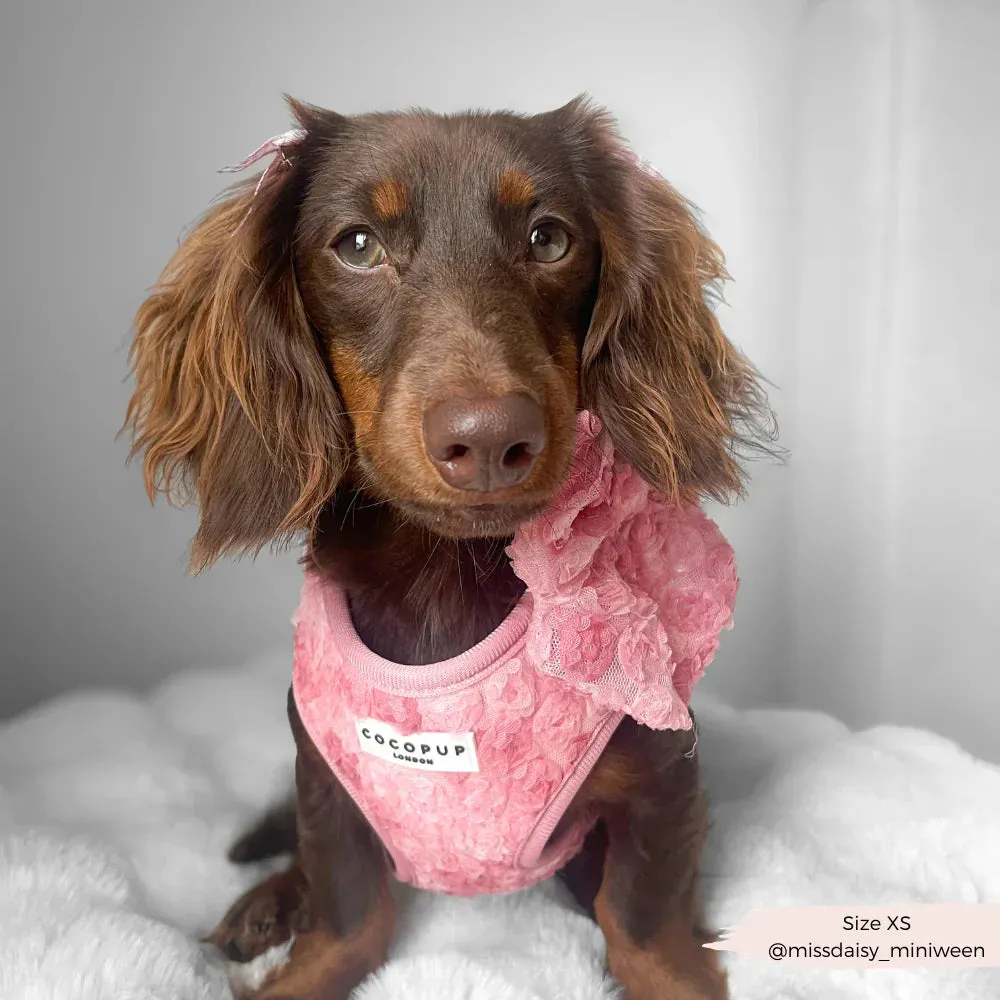Peony pup adjustable neck harness