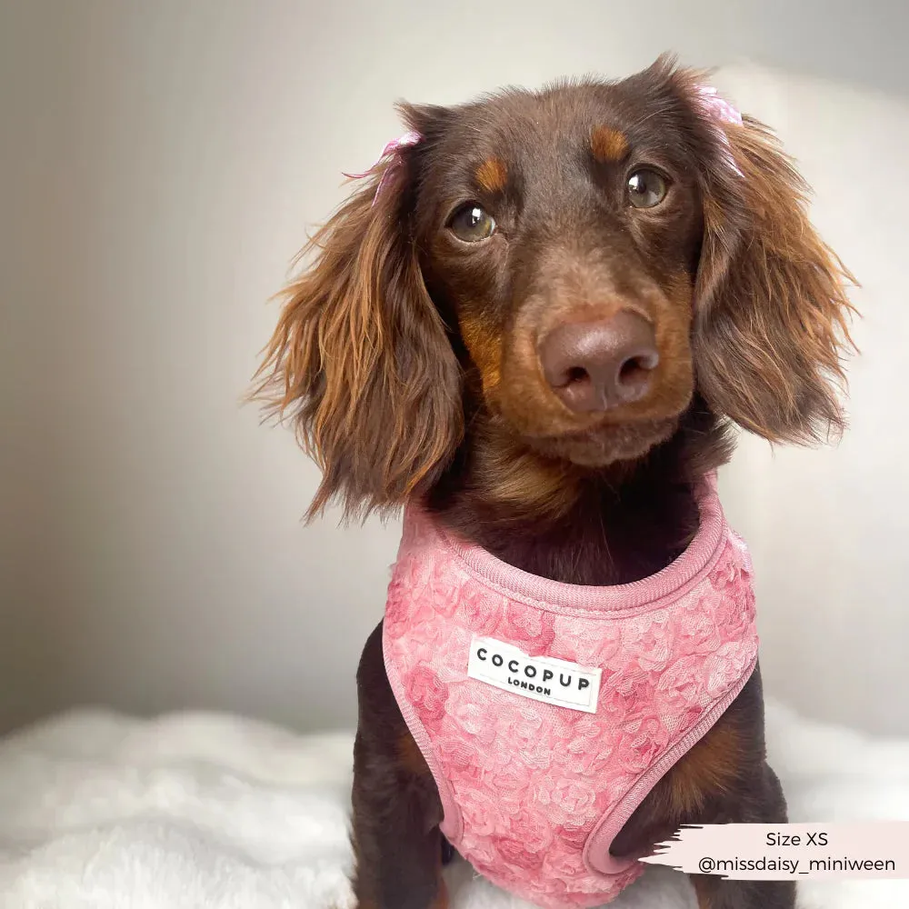 Peony pup adjustable neck harness