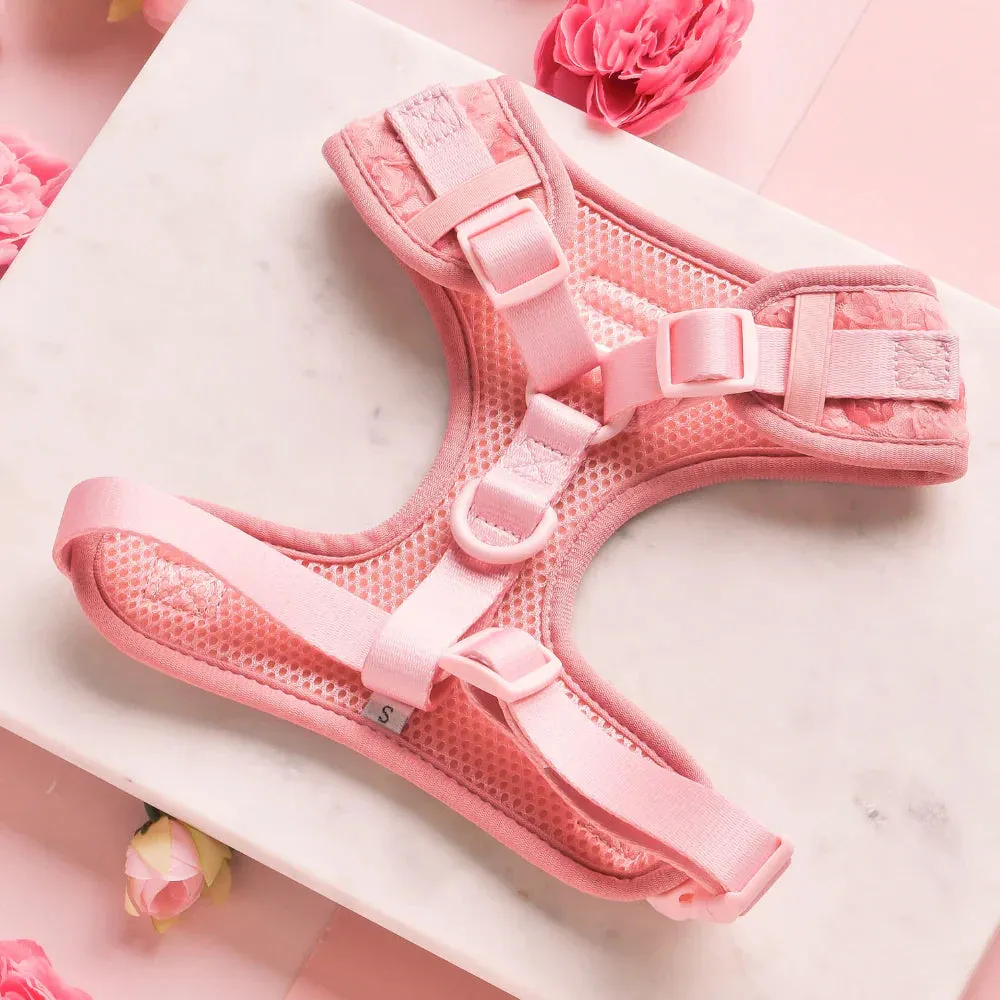 Peony pup adjustable neck harness