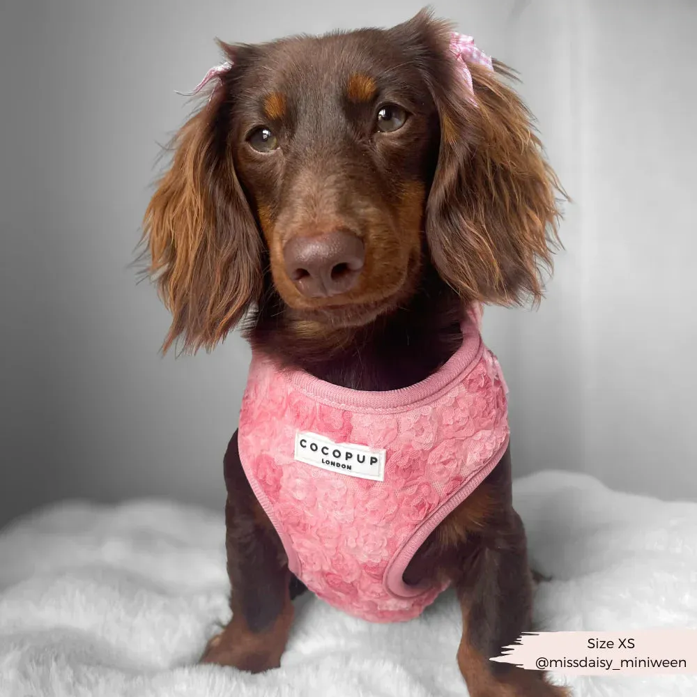 Peony pup adjustable neck harness