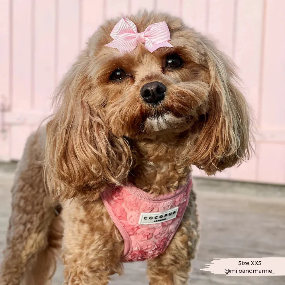 Peony pup adjustable neck harness