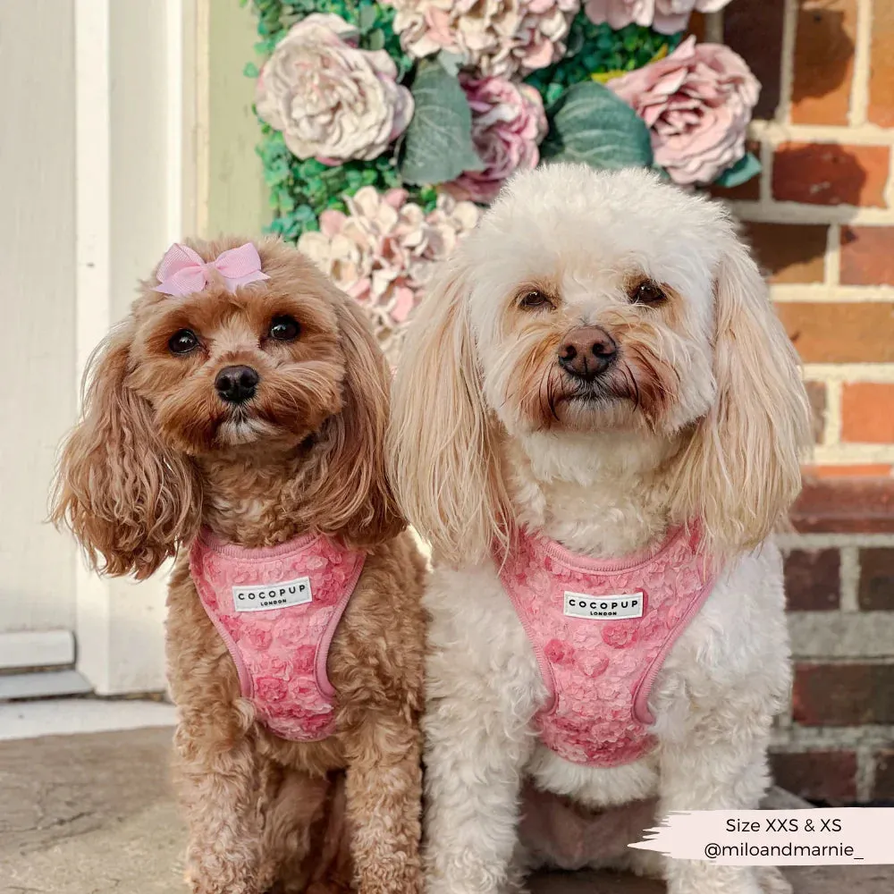 Peony pup adjustable neck harness
