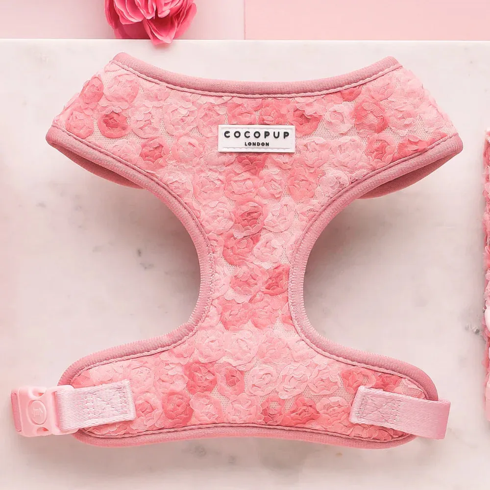 Peony pup adjustable neck harness