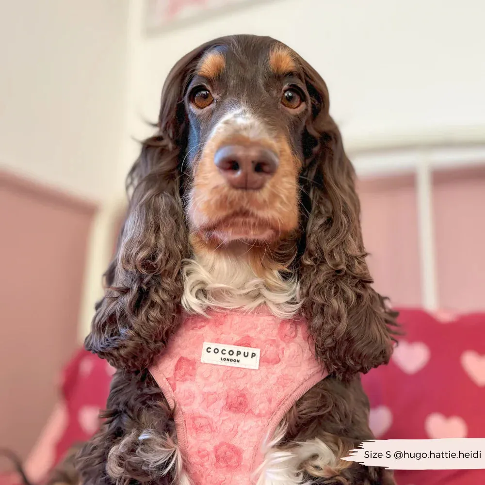 Peony pup adjustable neck harness