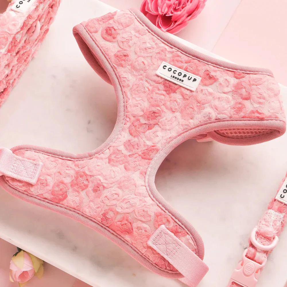 Peony pup adjustable neck harness