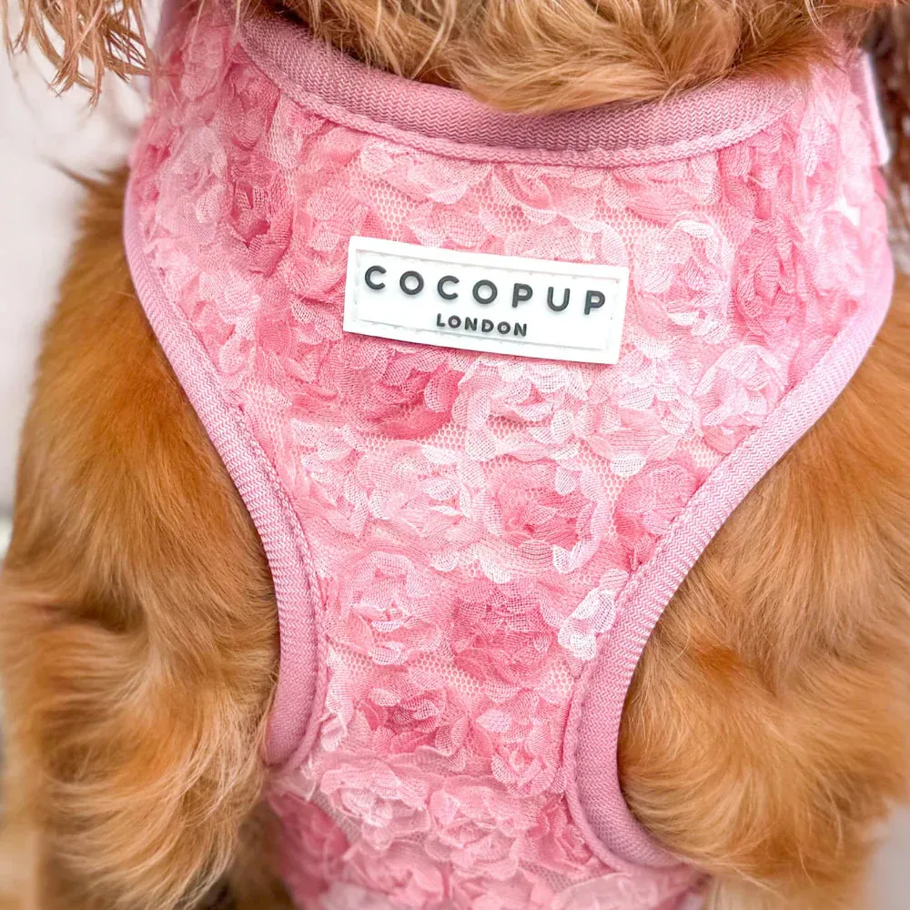 Peony pup adjustable neck harness