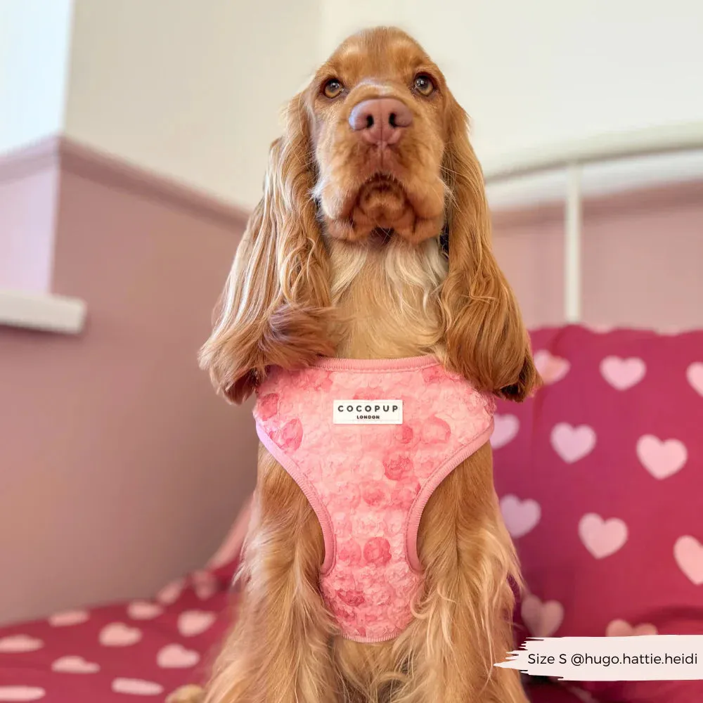 Peony pup adjustable neck harness