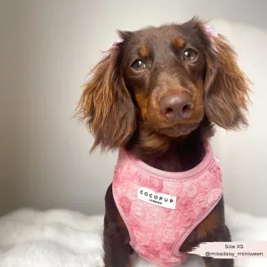 Peony pup adjustable neck harness