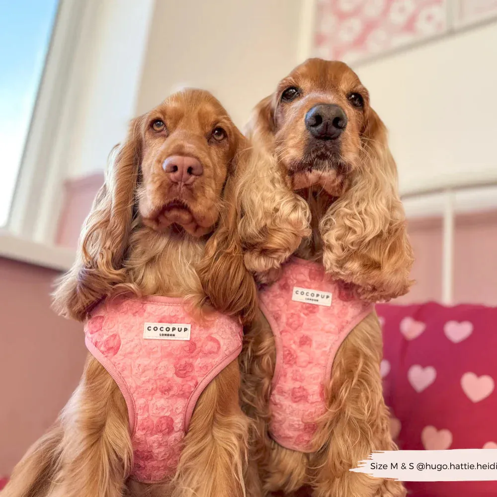Peony pup adjustable neck harness