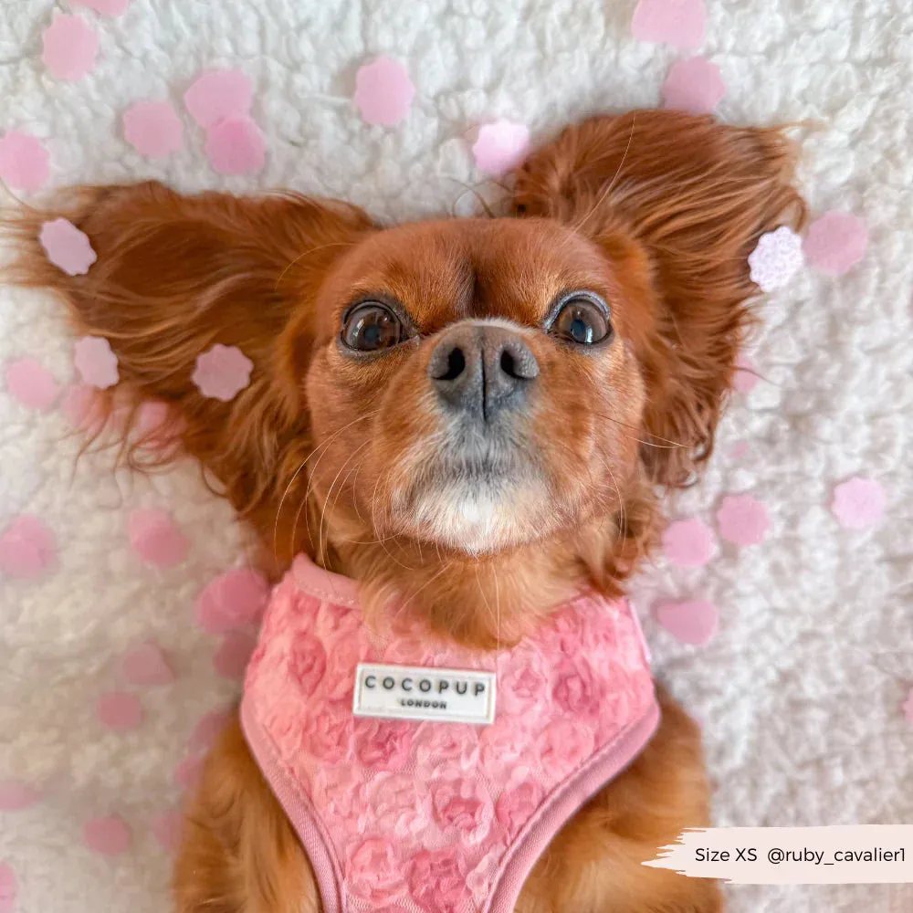 Peony pup adjustable neck harness