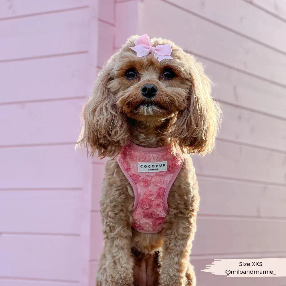 Peony pup adjustable neck harness