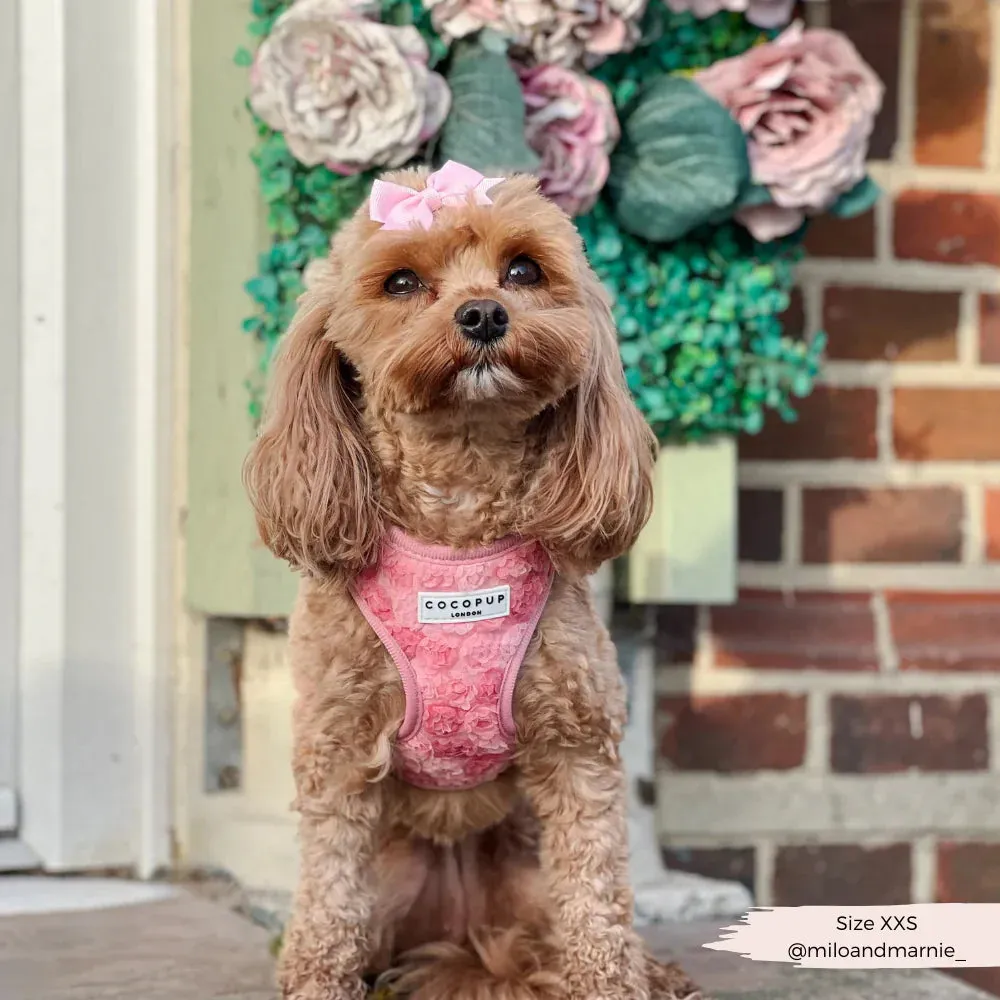 Peony pup adjustable neck harness