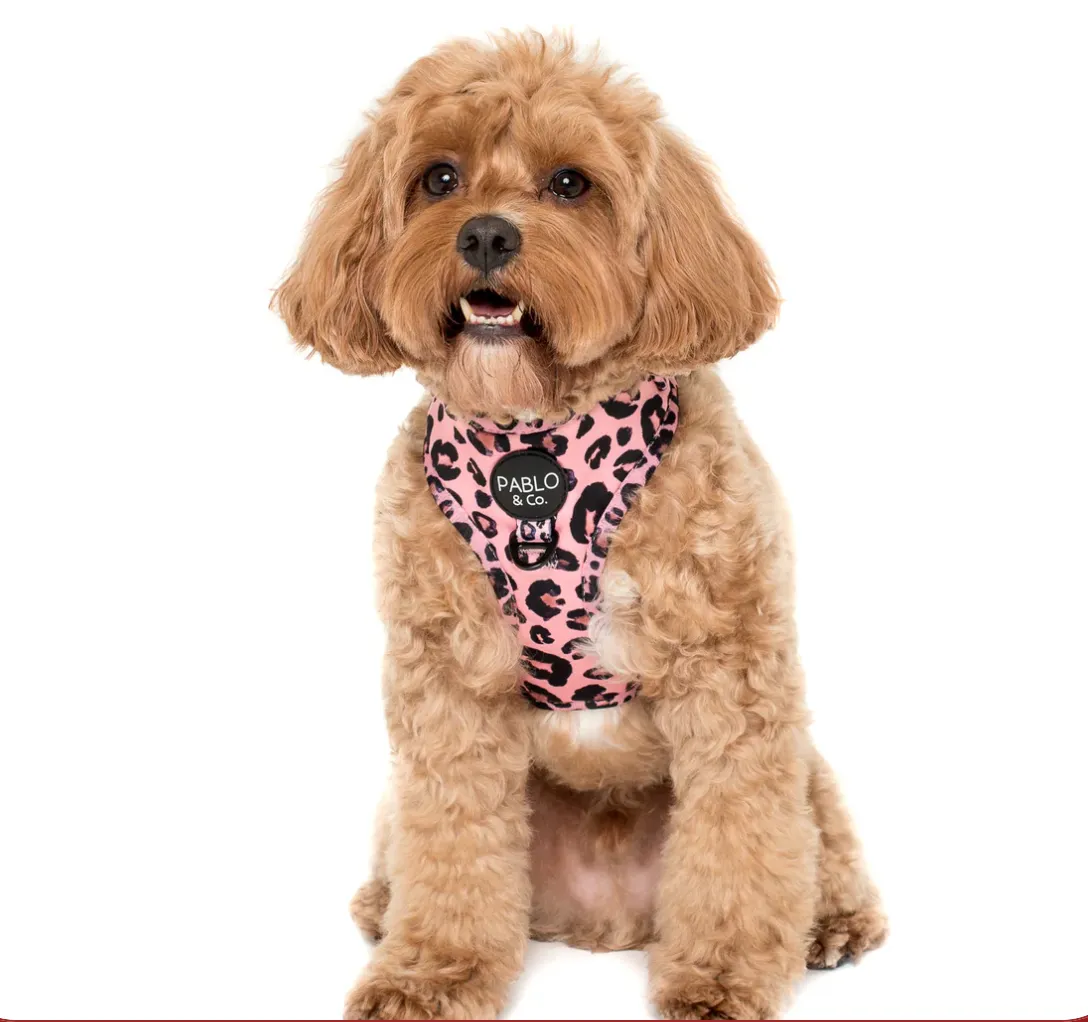 Pink Leopard Print Adjustable Harness