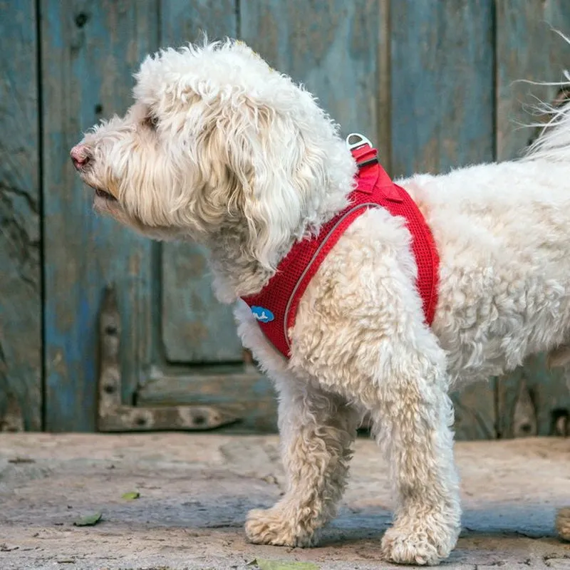 plush adjustable harness - red