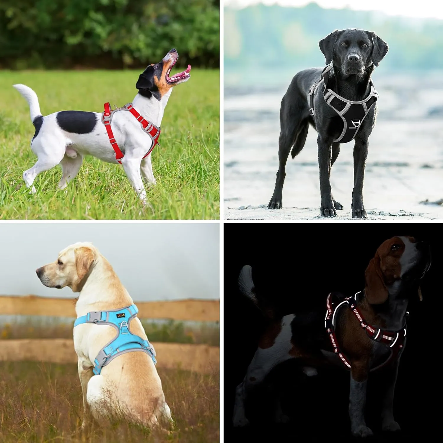 Plutus Pet No Pull Dog Harness, Release at Neck, Reflective Adjustable Dog Vest Harness, Easy Control Handle for Walking, for Small Medium Large Dogs, Gray, M