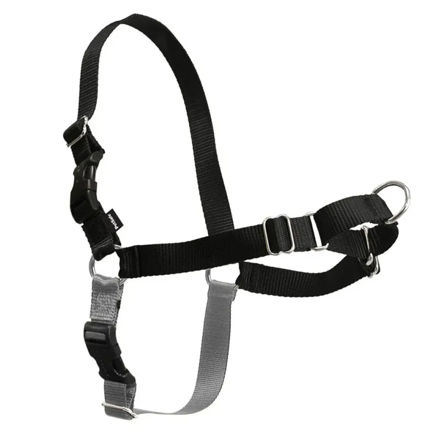 Premier Easy Walk Harness Black Silver