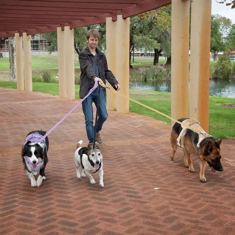 Premium No Pull Lightweight Dog Harness