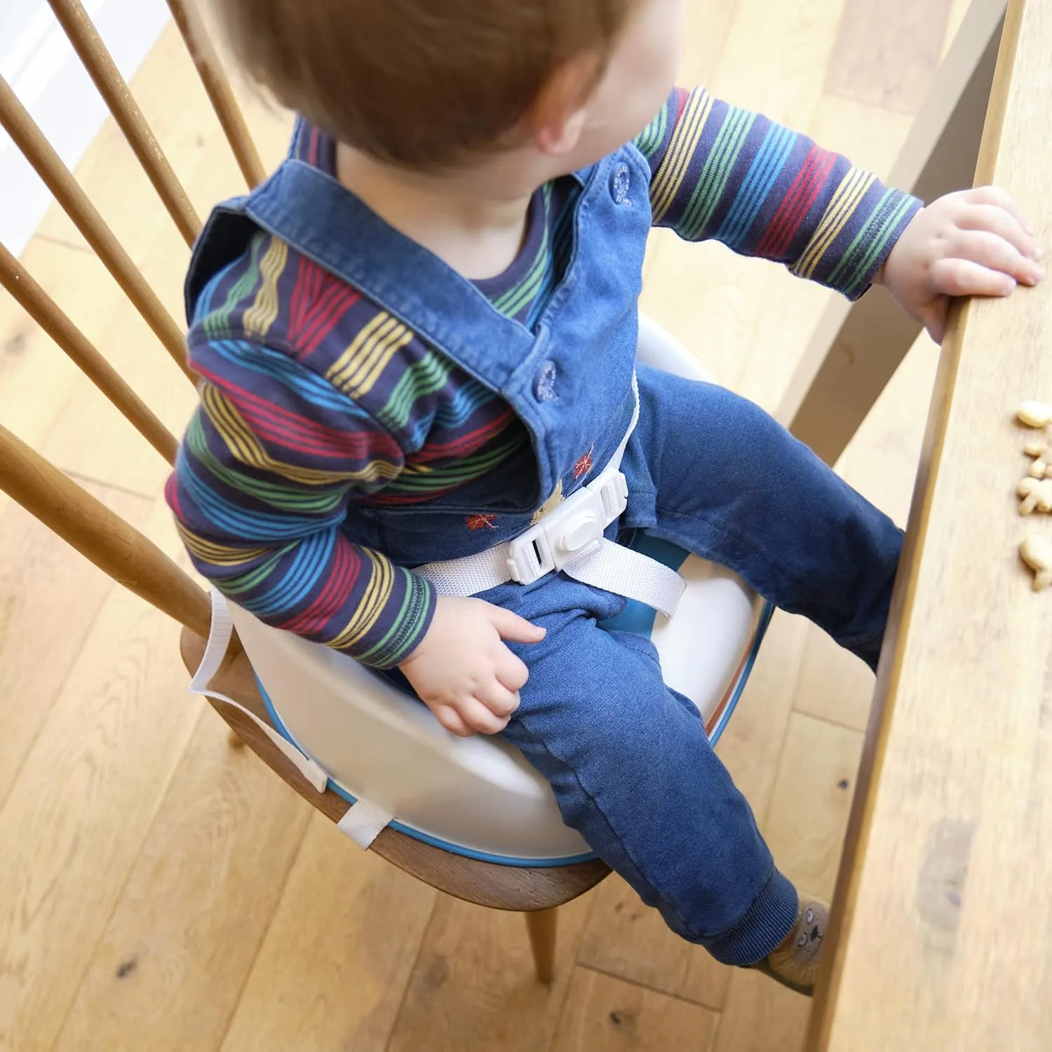 Prince Lionheart Baby Booster Squish Seat for Dining Table, Soft Seat with 3-Point Harness and Dual-Strap System for Toddler