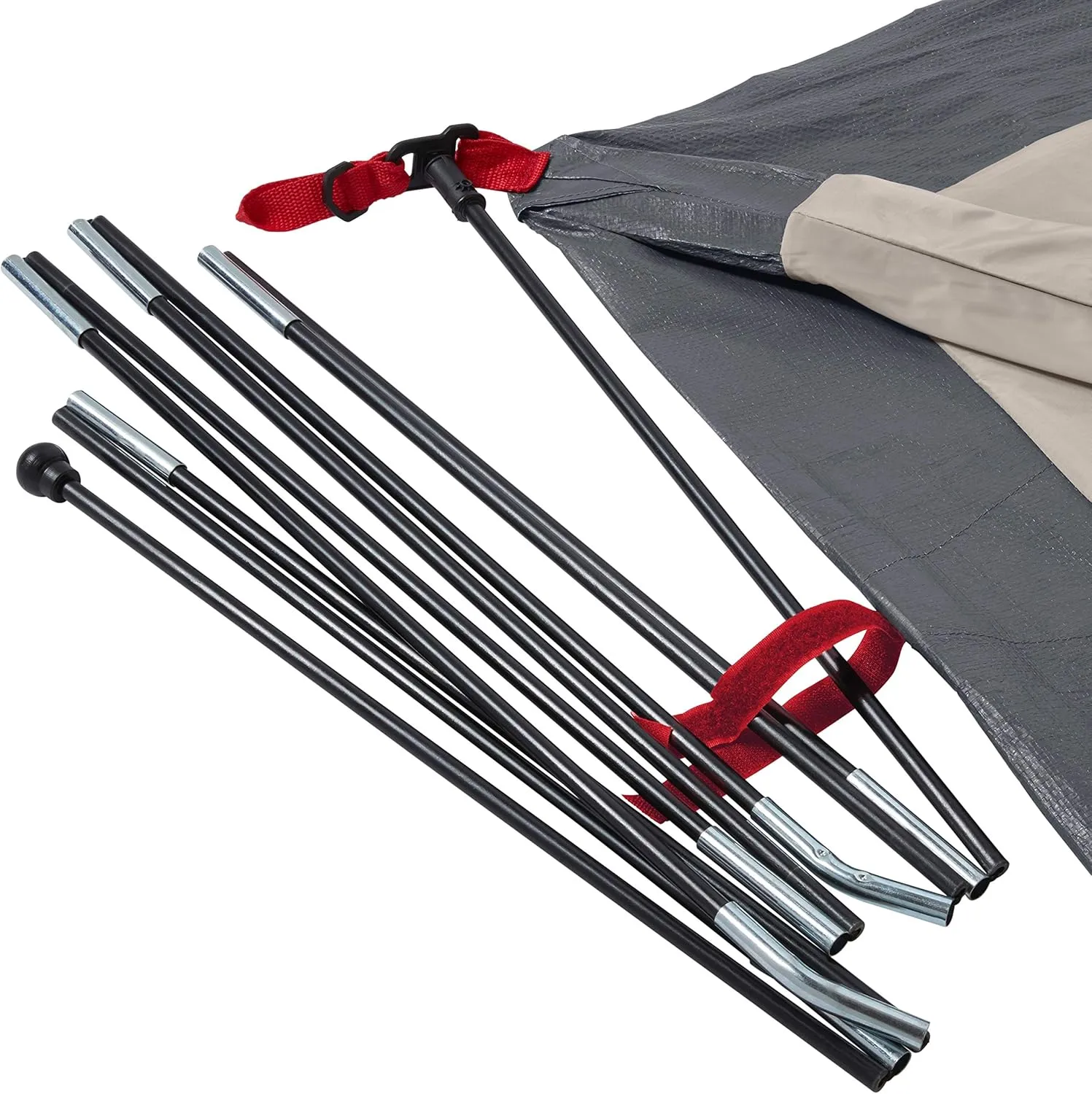 Proven 4P Skydoom Tent Blackberry Coleman Repeat buyers
