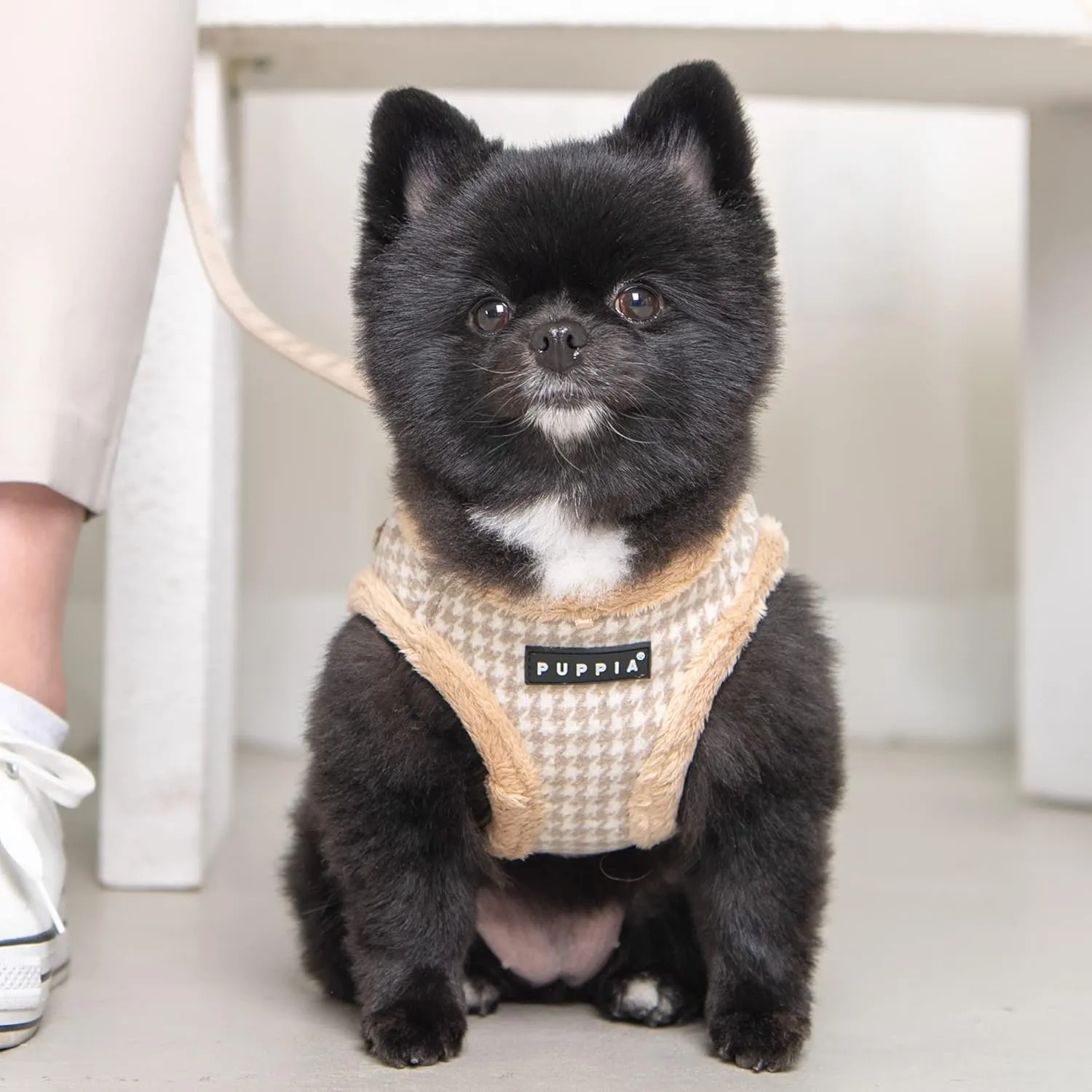 Puppia Shepherd Harness A - Beige - XL