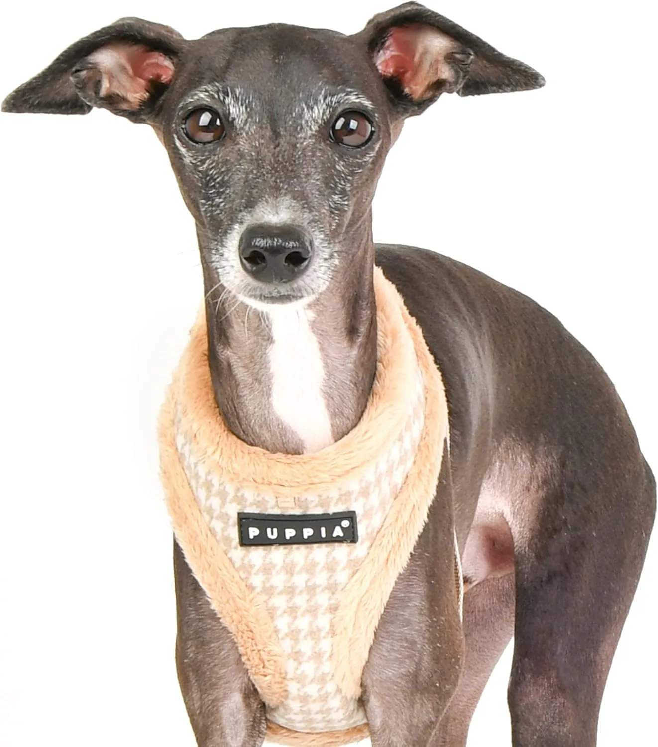 Puppia Shepherd Harness A - Beige - XL