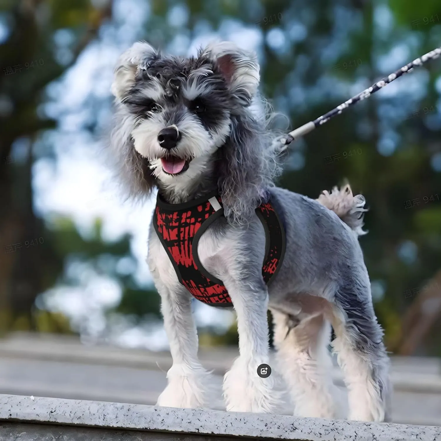 Red Ink Splash Background Print No Pull Dog Harness and Leash Set, Adjustable Reflective Step-in Puppy Pet Vest Harnesses for Small Dogs and Cats Large