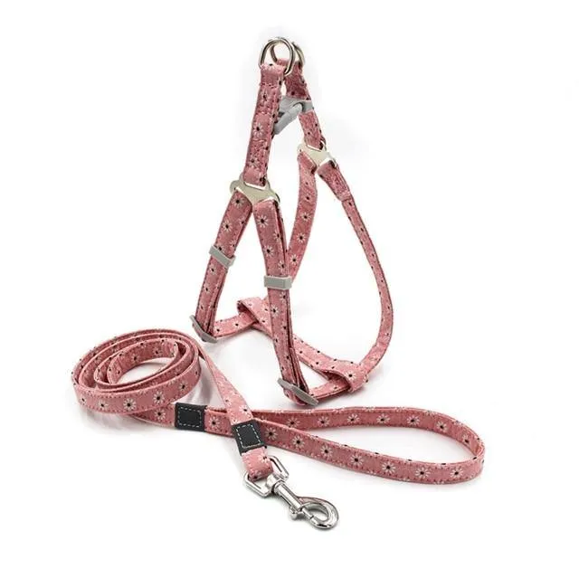Reflective Nylon Dog Harness & Lead
