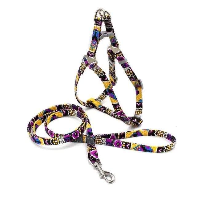 Reflective Nylon Dog Harness & Lead