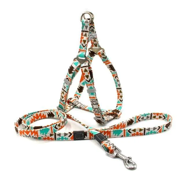 Reflective Nylon Dog Harness & Lead