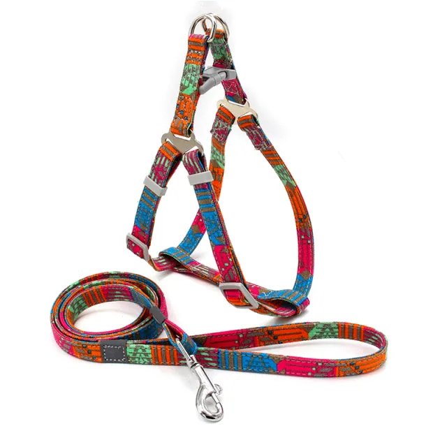 Reflective Nylon Dog Harness & Lead