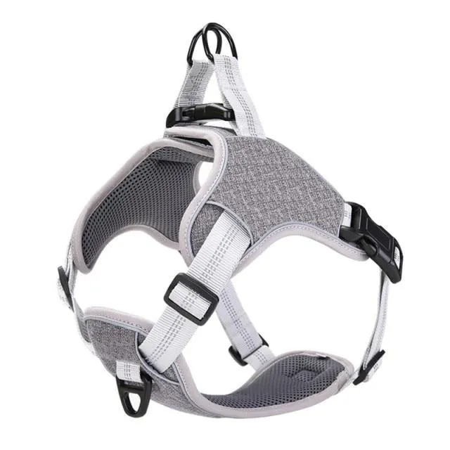 Reflective Nylon Mesh Harness