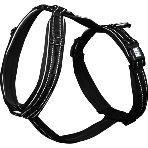 Reflective Y-Harness