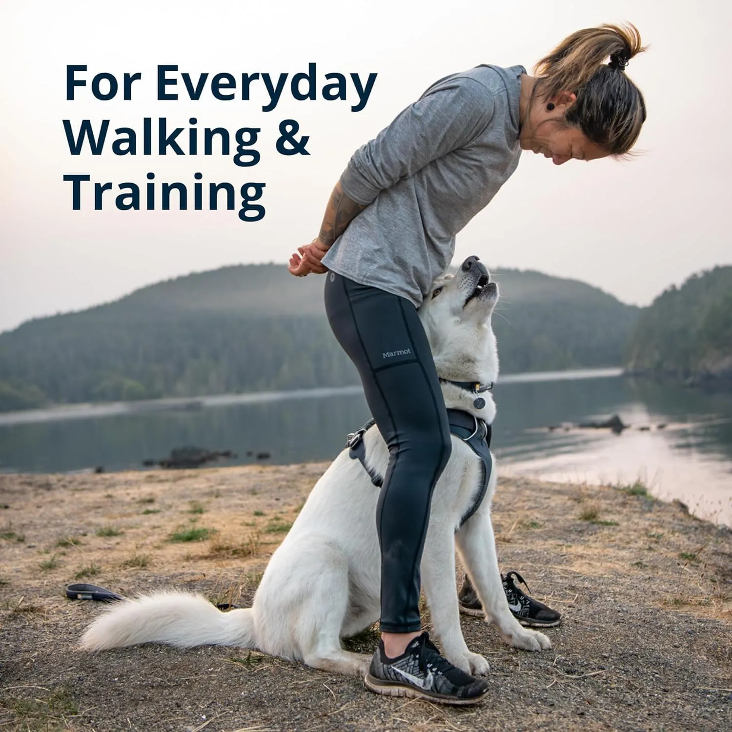 Ruffwear, Front Range Dog Harness, Reflective Soft Padded Everyday Harness with Dual Leash Clips, Adjustable and Lightweight Fit for Training or Walking for All Dogs, River Rock Green, Small