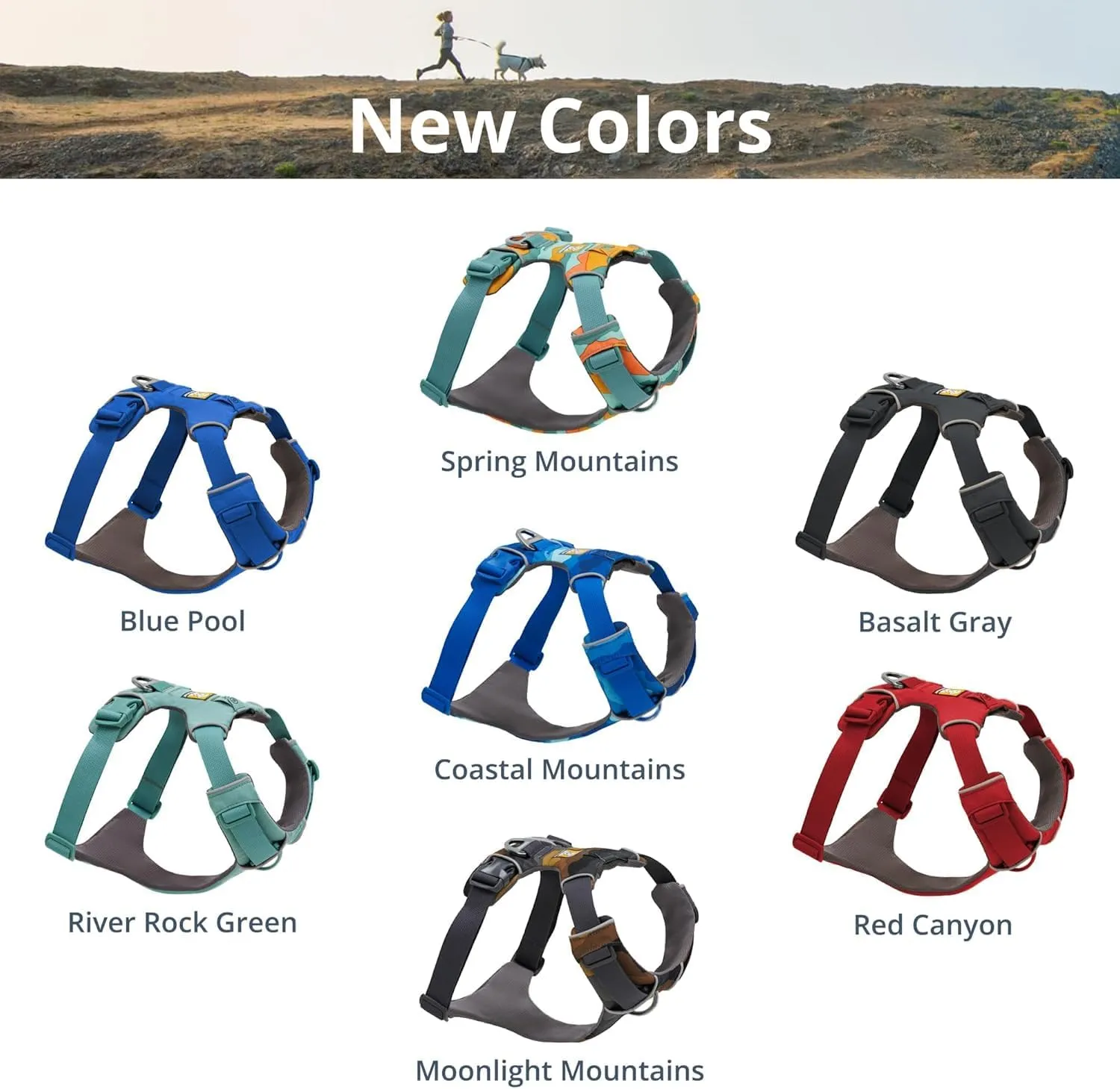 Ruffwear, Front Range Dog Harness, Reflective Soft Padded Everyday Harness with Dual Leash Clips, Adjustable and Lightweight Fit for Training or Walking for All Dogs, River Rock Green, Small