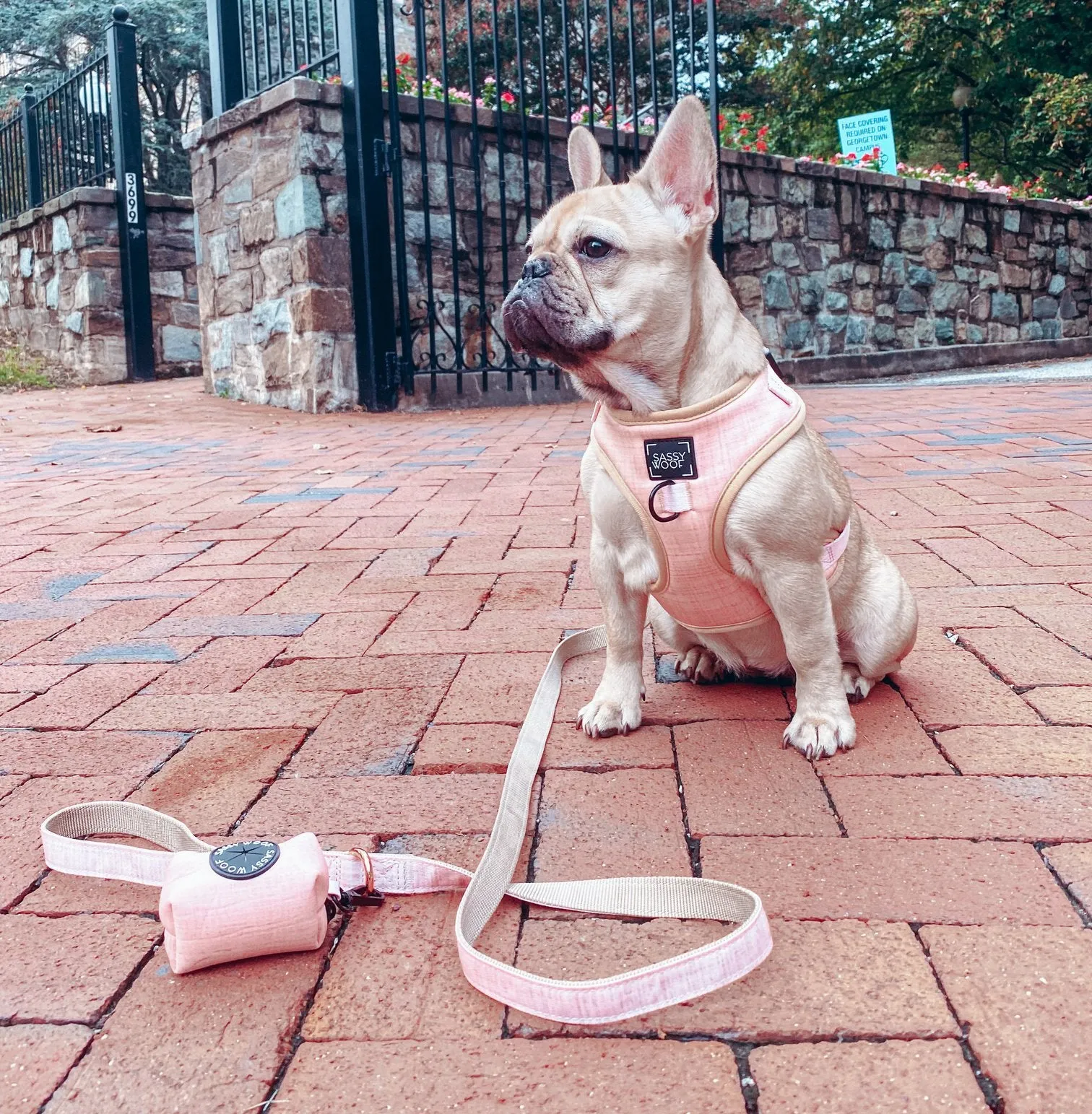 Sassy Woof Adjustable Harness - Pinot