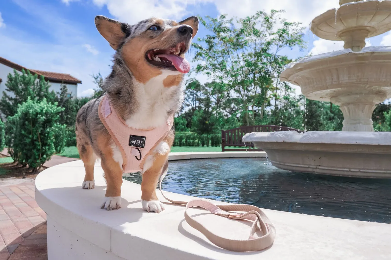 Sassy Woof Adjustable Harness - Pinot