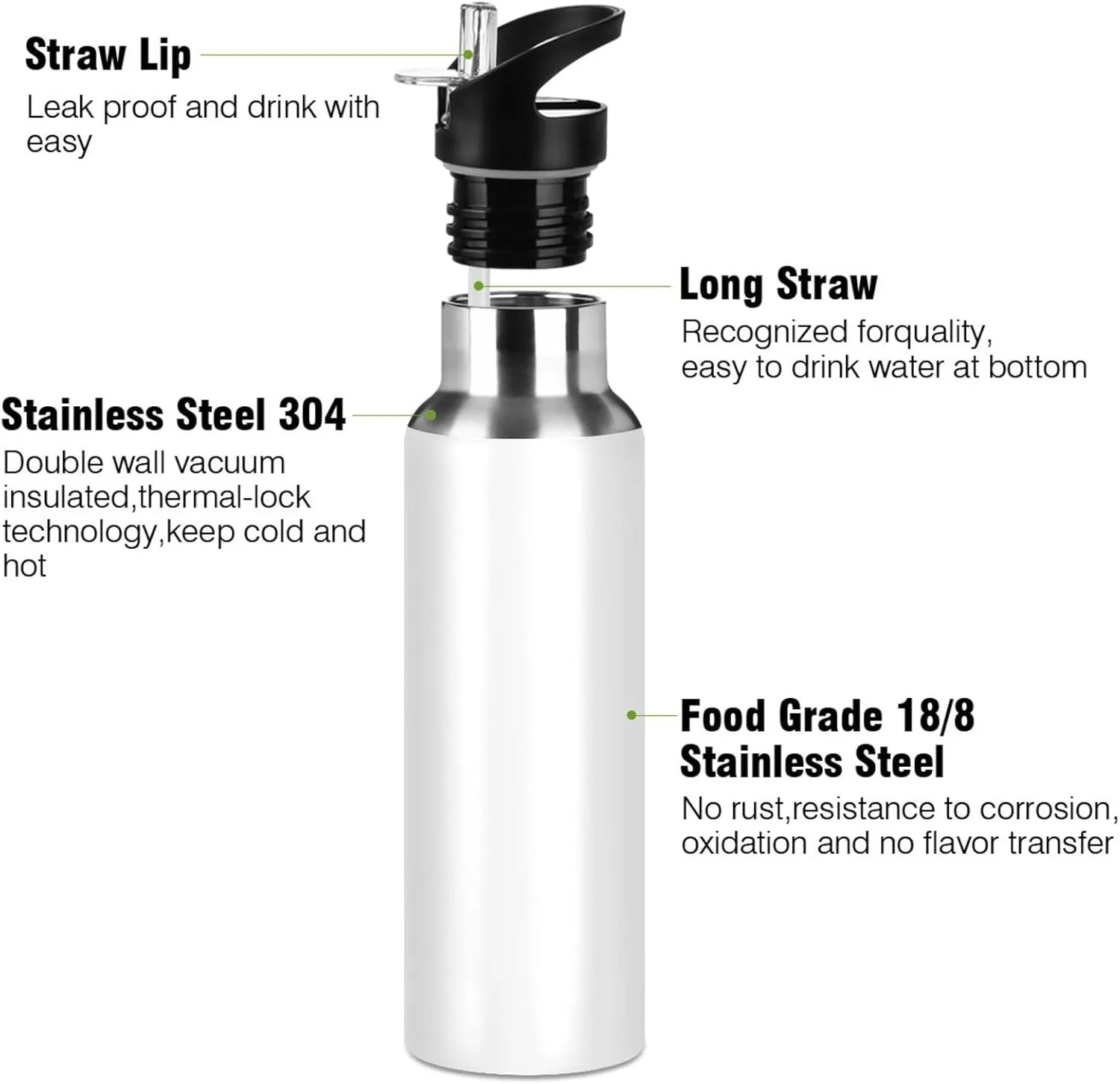 senya 20 Oz Water Bottle with Straw Roaring Panther Stainless Steel Water Bottle for Traveling Sports Leakproof Insulated