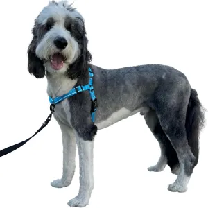 ShawnCo Dream Walk Pro Dog Harness- No-Pull, Comfortable, Adjustable, Easy to Use Pet Halter to Help Stop Pulling for Small, Medium and Large Dogs (Oceanic Blue, Medium)