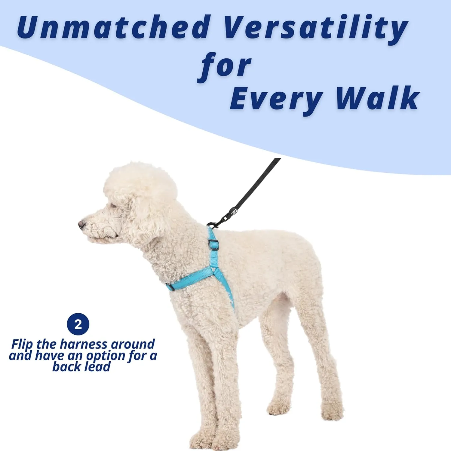 ShawnCo Dream Walk Pro Dog Harness- No-Pull, Comfortable, Adjustable, Easy to Use Pet Halter to Help Stop Pulling for Small, Medium and Large Dogs (Oceanic Blue, Medium)
