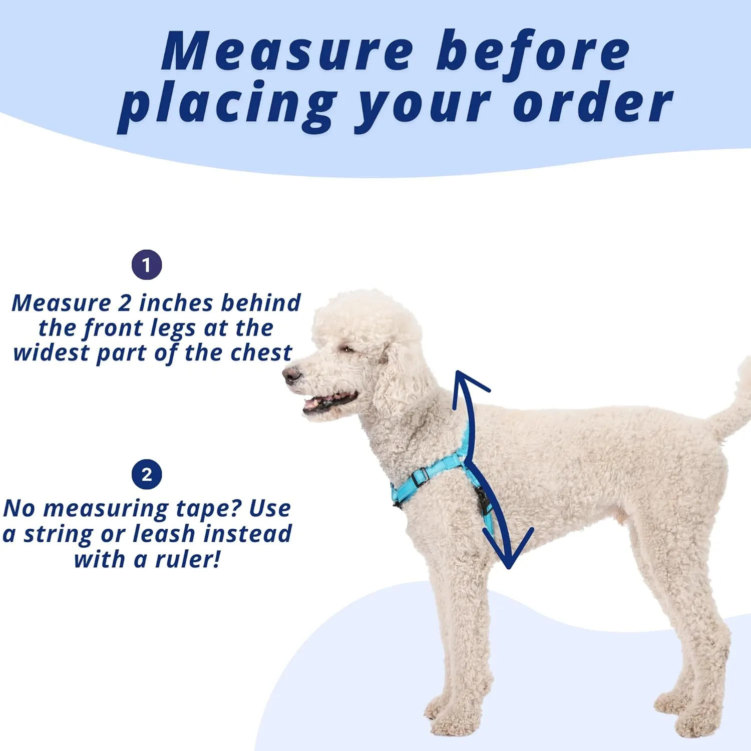 ShawnCo Dream Walk Pro Dog Harness- No-Pull, Comfortable, Adjustable, Easy to Use Pet Halter to Help Stop Pulling for Small, Medium and Large Dogs (Oceanic Blue, Medium)