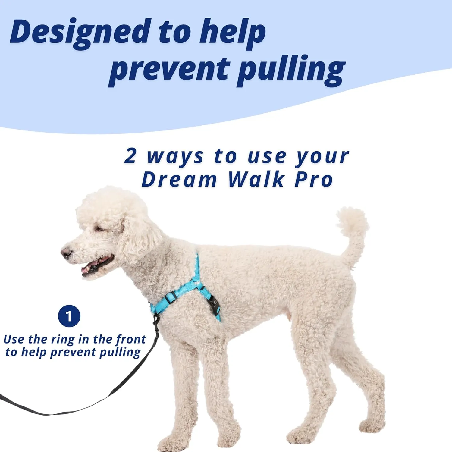 ShawnCo Dream Walk Pro Dog Harness- No-Pull, Comfortable, Adjustable, Easy to Use Pet Halter to Help Stop Pulling for Small, Medium and Large Dogs (Oceanic Blue, Medium)