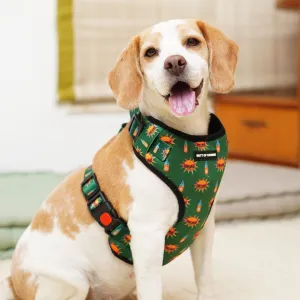 Snacc Time Vest Harness