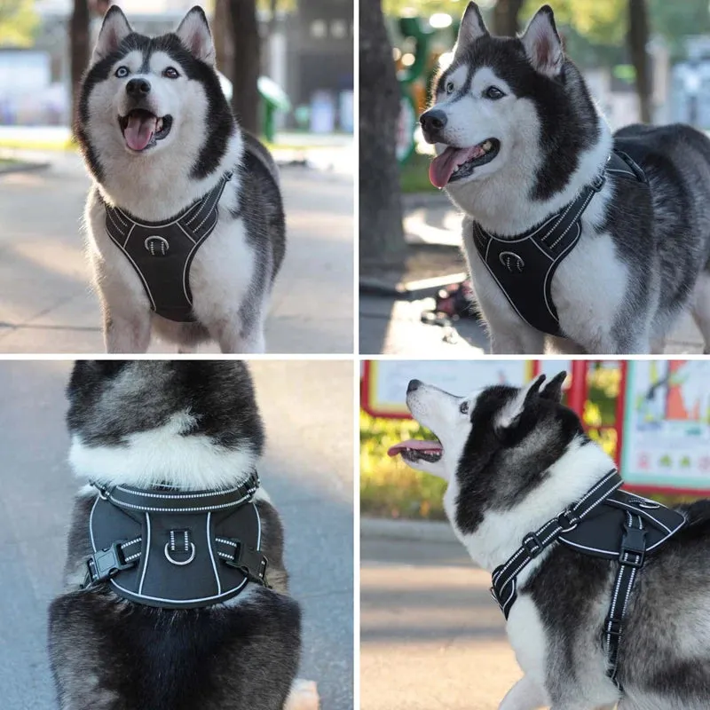 Soft Padded Reflective Dog Vest