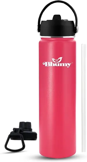 Stainless Steel 24oz Double Wall Vacuum Insulated Water Bottle with Straw and 2 Leakproof Caps - Sports Water Bottle for Gym, Office, Travel