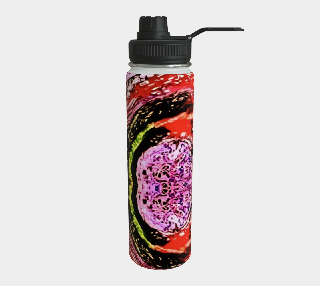 Stainless Steel Water Bottle (2025-03-04, 4:29 p.m.)