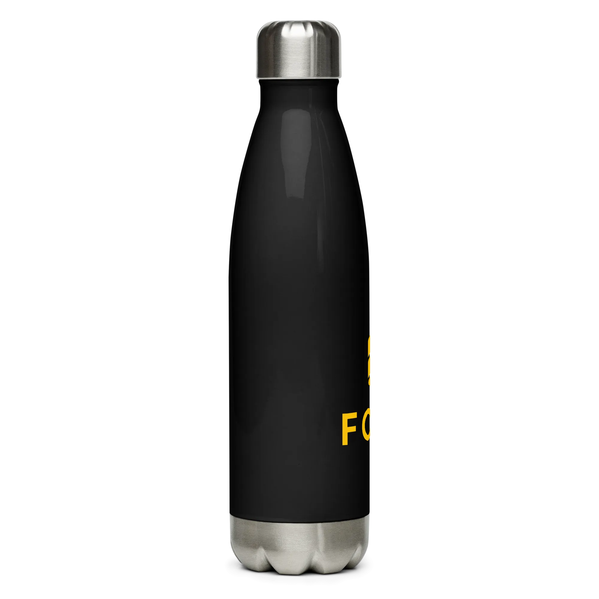 Stainless Steel Water Bottle